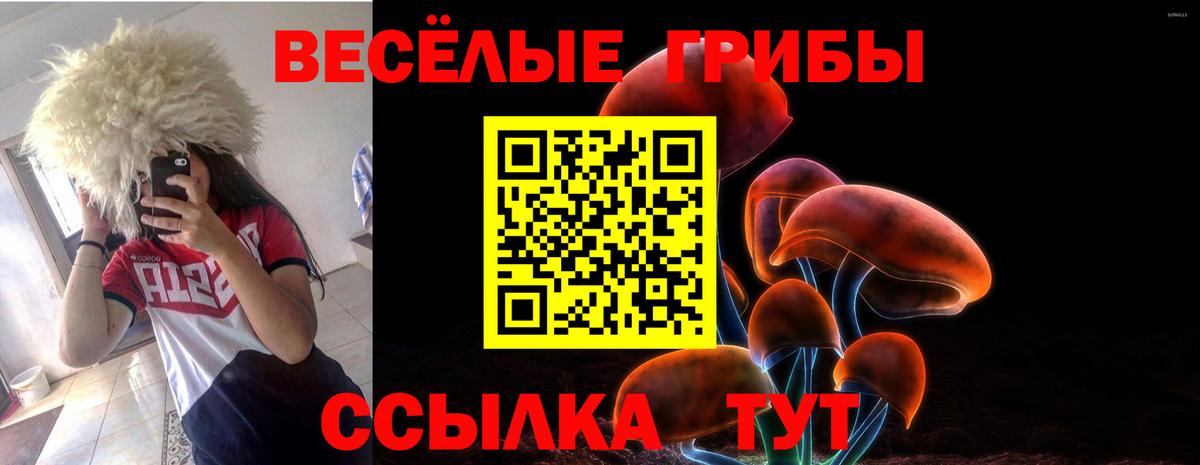 Псилоцибиновые грибы Psilocybine cubensis  Вход с VPN  Великие Луки 